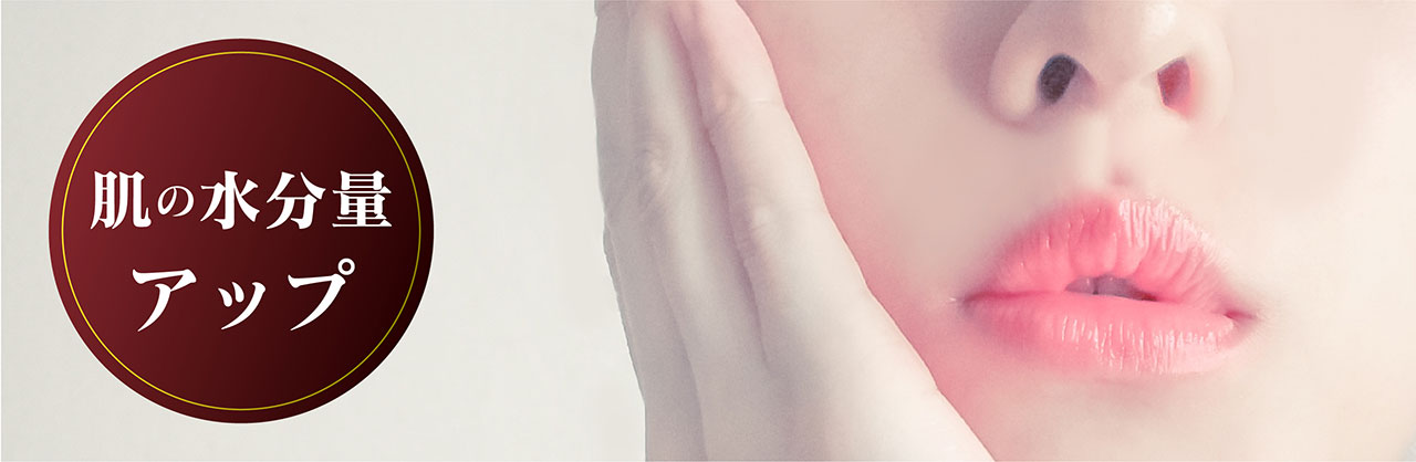 肌の水分量アップ