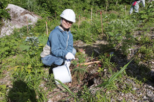 山下ホーム,森づくり活動の写真