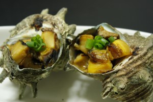 124593312233216331962__MG_3340 (1)